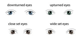Eye shape for applying eyelash extensions